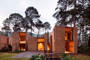 entre-pinos-arquitectura-minimal-garden
