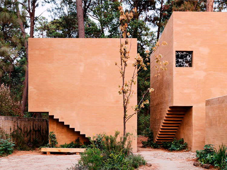 entre-pinos-arquitectura-minimal