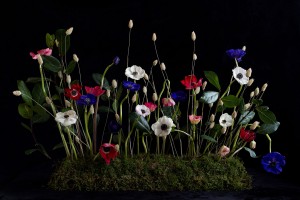 Curso de fotografia y arte floral en Barcelona